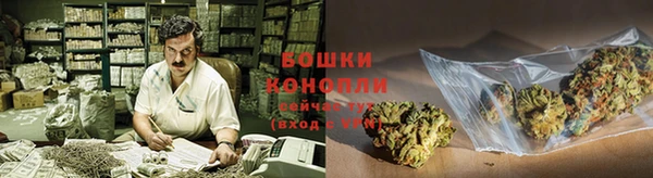 ГАЛЛЮЦИНОГЕННЫЕ ГРИБЫ Арсеньев