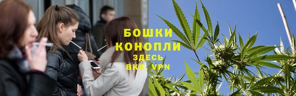ГАЛЛЮЦИНОГЕННЫЕ ГРИБЫ Арсеньев