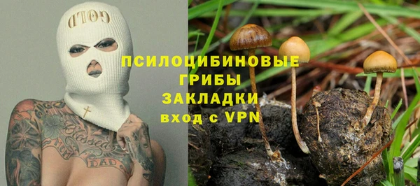 ГАЛЛЮЦИНОГЕННЫЕ ГРИБЫ Арсеньев