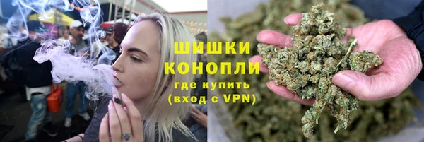 ГАЛЛЮЦИНОГЕННЫЕ ГРИБЫ Арсеньев