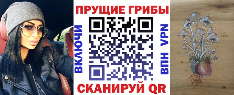 Купить  Оленегорск  Псилоцибиновые грибы Psilocybe 